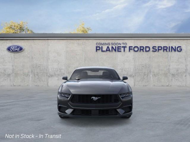 Photo of 2025 Shadow Black Ford Mustang