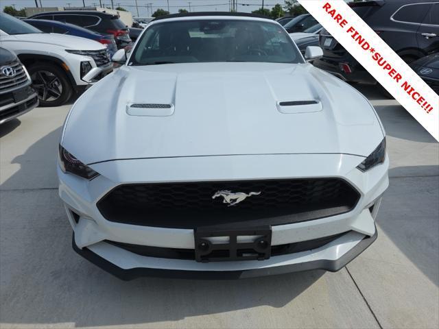 Photo of 2023 OXFORD WHITE Ford Mustang