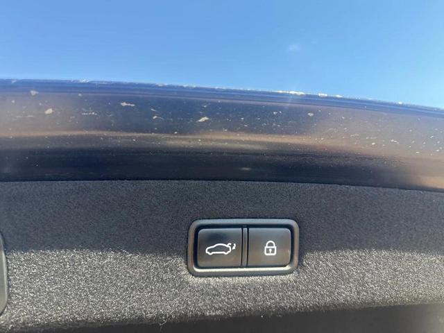 Photo of 2018 Victoria Black Genesis G90