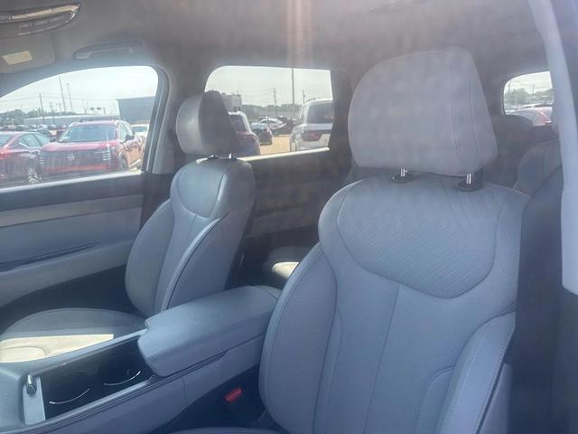 Photo of 2024 Typhoon Silver Hyundai PALISADE
