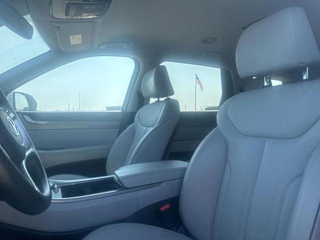 Photo of 2024 Typhoon Silver Hyundai PALISADE