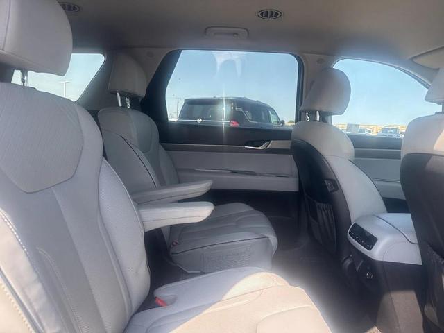 Photo of 2024 Typhoon Silver Hyundai PALISADE