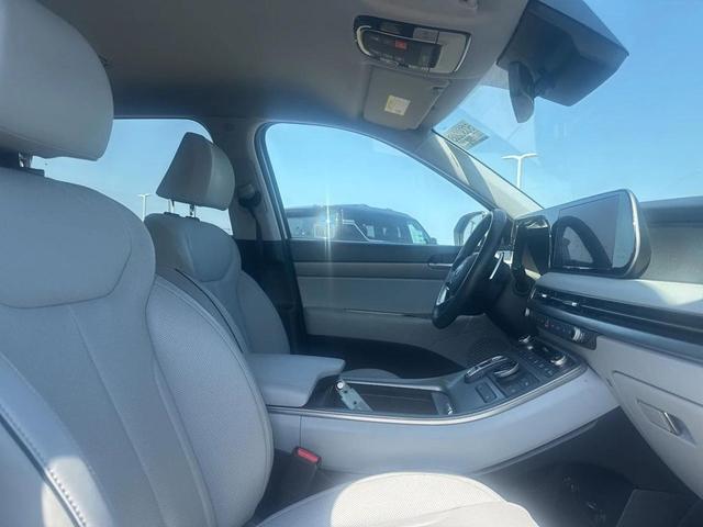 Photo of 2024 Typhoon Silver Hyundai PALISADE