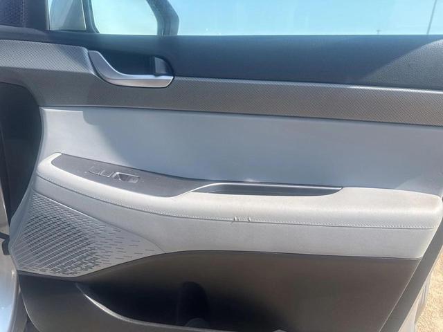 Photo of 2024 Typhoon Silver Hyundai PALISADE