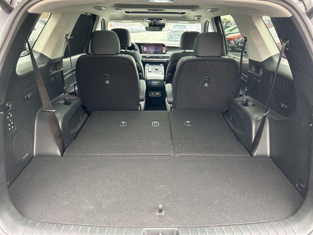 Photo of 2024 Typhoon Silver Hyundai PALISADE