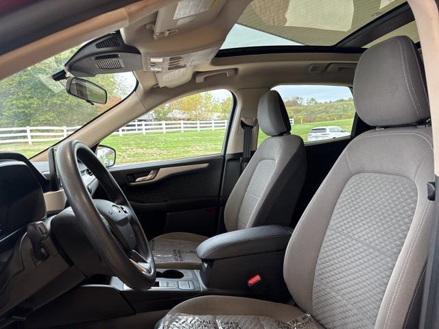 Photo of 2020 Rapid Red Metallic Tinted Clearcoat Ford Escape