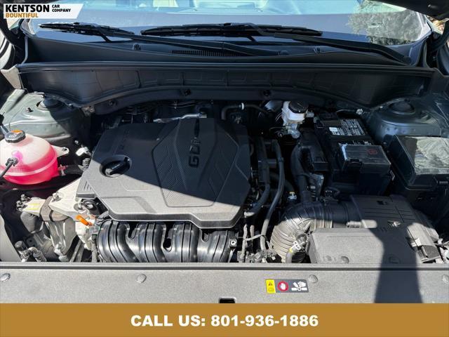 Photo of 2023 Aruba Green Kia Sorento