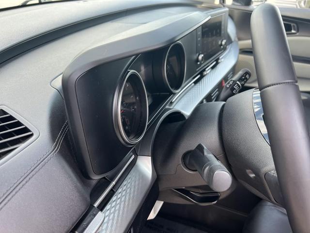 Photo of 2023 Panthera Metal Kia Carnival