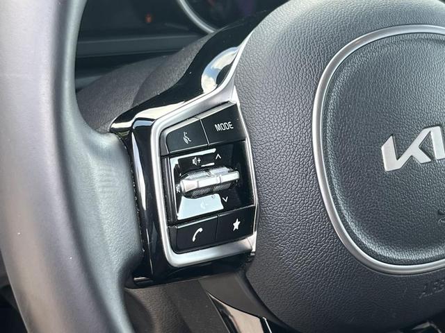 Photo of 2023 Panthera Metal Kia Carnival