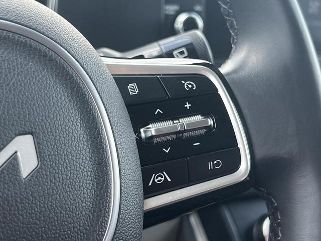 Photo of 2023 Panthera Metal Kia Carnival