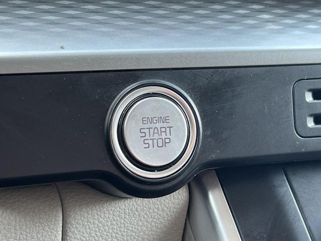 Photo of 2023 Panthera Metal Kia Carnival