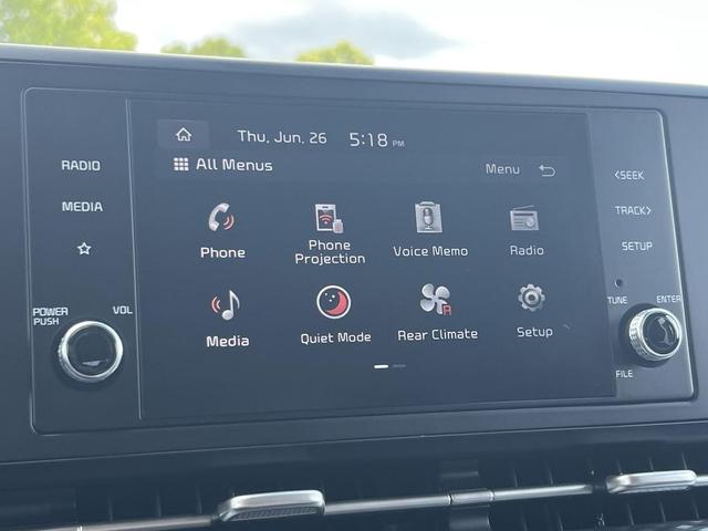 Photo of 2023 Panthera Metal Kia Carnival