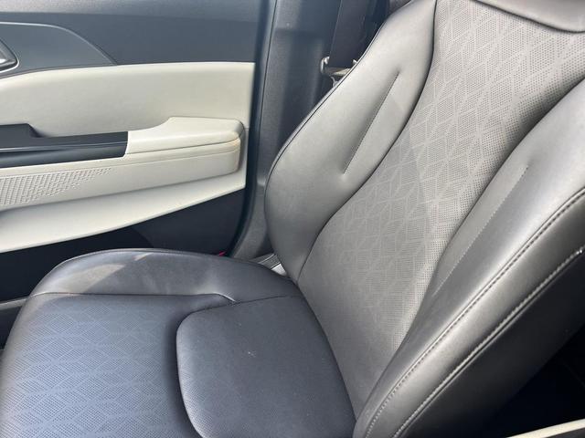 Photo of 2023 Panthera Metal Kia Carnival