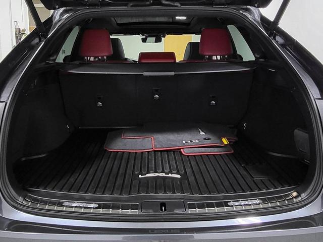 Photo of 2024 Cloudburst Gray Lexus RX 500h