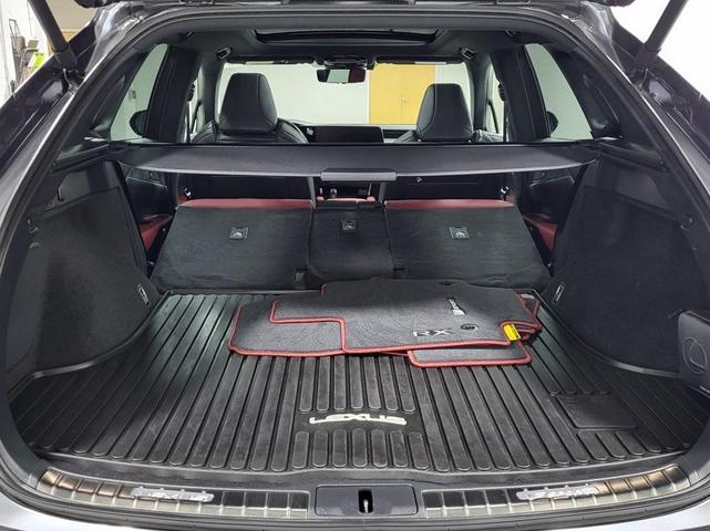 Photo of 2024 Cloudburst Gray Lexus RX 500h