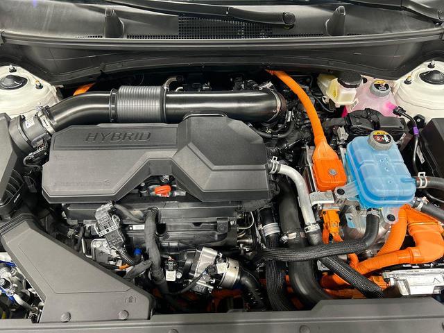 Photo of 2025 Snow White Pearl Kia Sportage