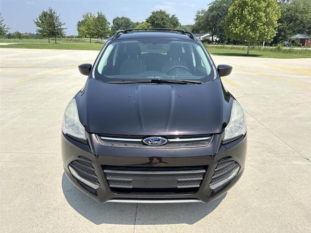 Photo of 2013 Brown Ford Escape