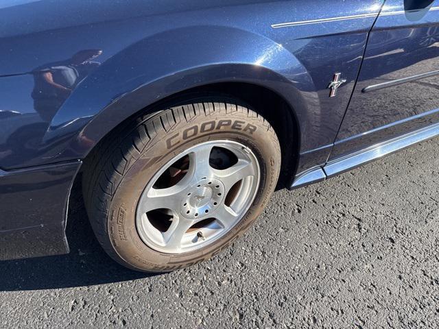 Photo of 2003 True Blue Clearcoat Metallic Ford Mustang