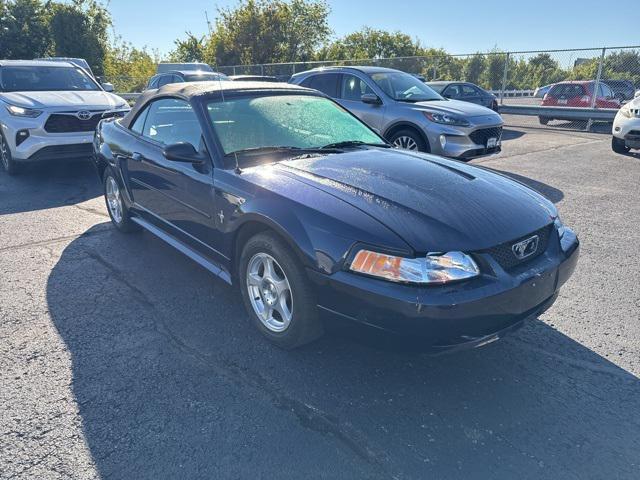 Photo of 2003 True Blue Clearcoat Metallic Ford Mustang