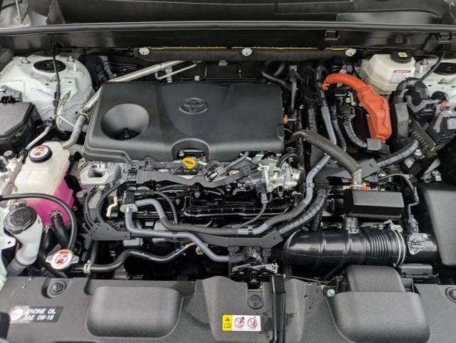 Photo of 2024 Pear Toyota Venza