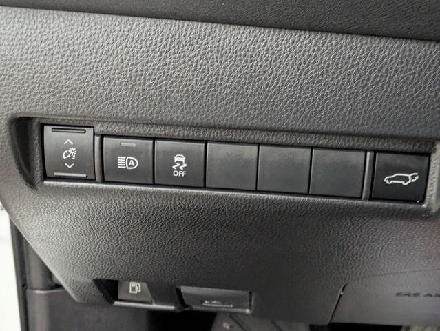 Photo of 2024 Pear Toyota Venza
