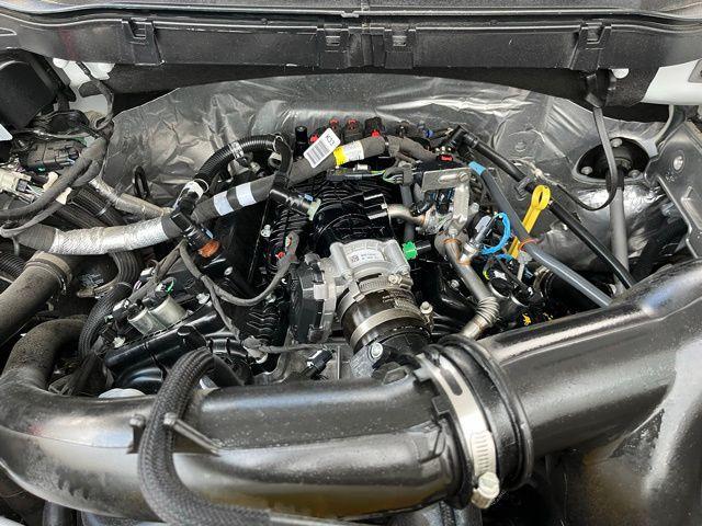 Photo of 2019 Magnetic Ford F-150