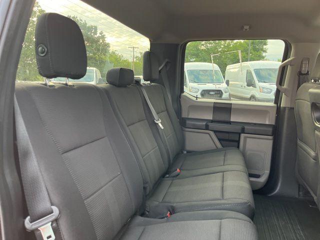 Photo of 2019 Magnetic Ford F-150