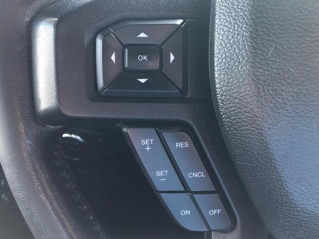 Photo of 2018 Lightning Blue Ford F-150