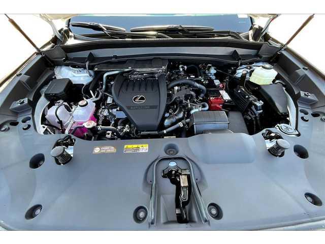 Photo of 2025  Lexus TX 350