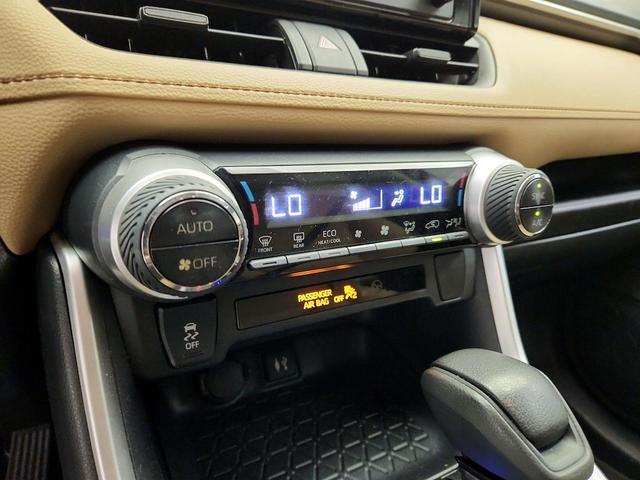 Photo of 2019 Burgundy Toyota RAV4