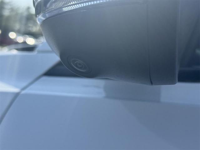 Photo of 2023 Q Ball Dodge Hornet