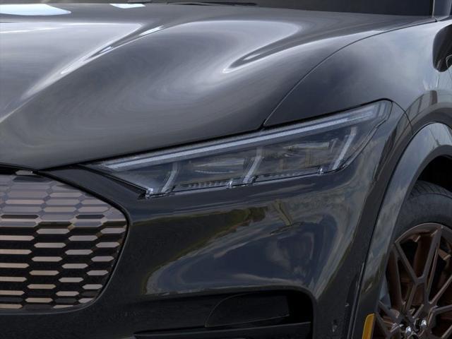 Photo of 2025 Shadow Black Ford Mustang Mach-E