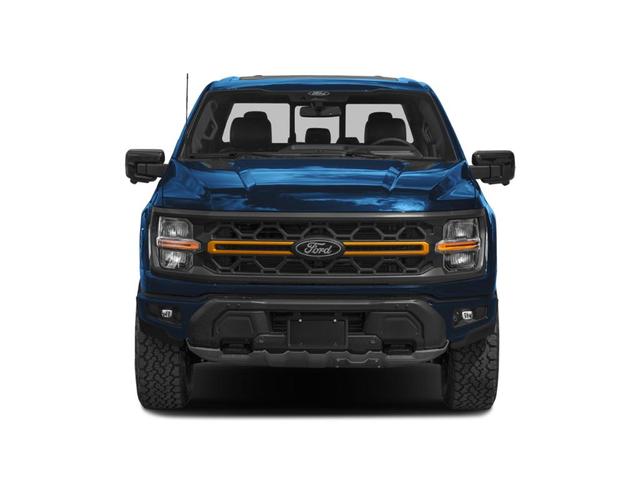 Photo of 2025 Blue Metallic Ford F-150