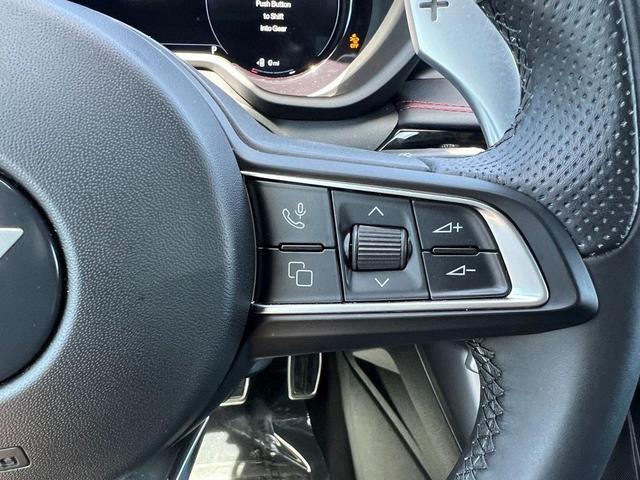 Photo of 2024 8 BALL Dodge Hornet