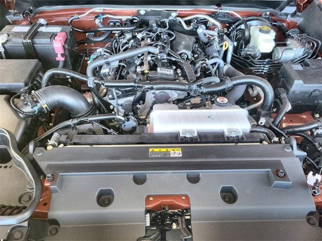 Photo of 2025 TERRA Toyota Tacoma