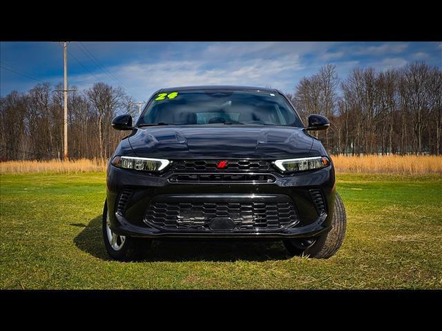 Photo of 2024 8 Ball Dodge Hornet