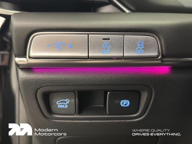 Photo of 2024 Vik Black Genesis GV80