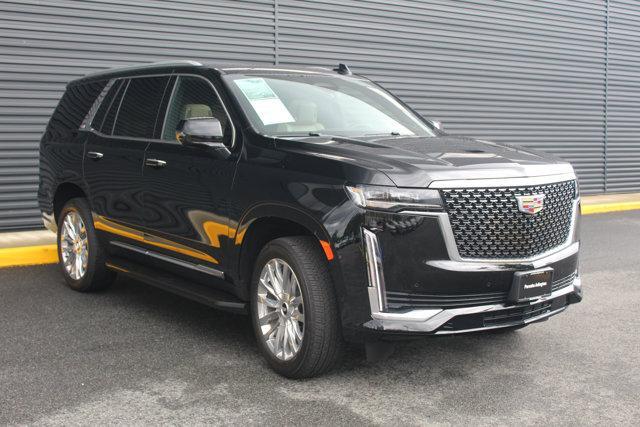 Photo of 2023 Black Raven Cadillac Escalade