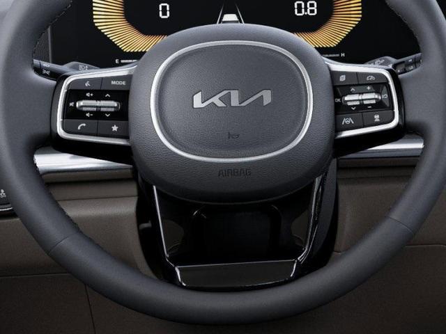 Photo of 2025 Flare Red Kia Carnival