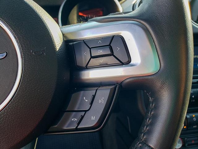 Photo of 2018 Kona Blue Ford Mustang