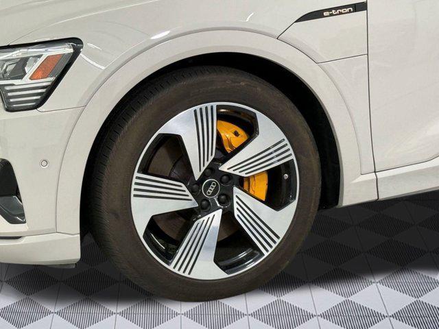Photo of 2022 Siam Beige Metallic Audi e-tron