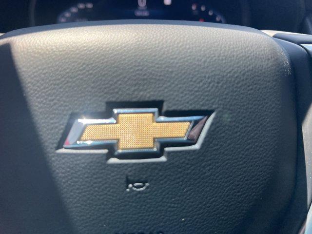 Photo of 2023 Silver Sage Metallic Chevrolet Tahoe