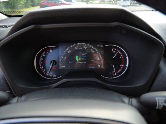 Photo of 2024 Ice Cap Toyota RAV4