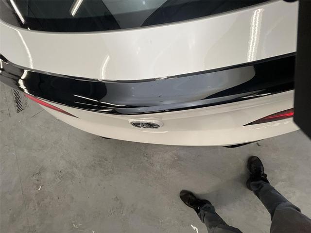 Photo of 2025 WX Acura Integra