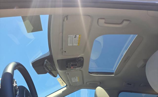 Photo of 2025 Panthera Metal Kia Carnival Hybrid