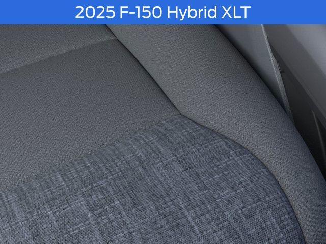 Photo of 2025 Agate Black Metallic Ford F-150
