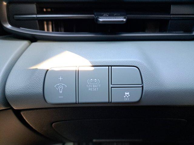 Photo of 2025 Metal Hyundai ELANTRA HEV