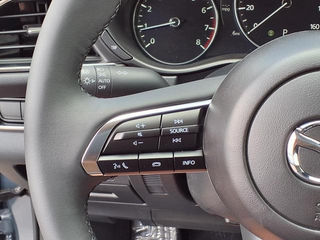 Photo of 2025 Polymetal Gray Metallic Mazda CX-30