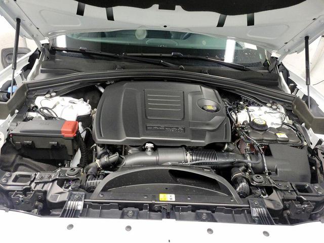 Photo of 2024 White Jaguar F-PACE