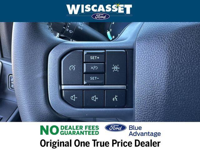 Photo of 2024 Blue Ford F-150